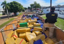 PRF apreende mais de 8 toneladas de maconha e haxixe em caminhão na BR-163