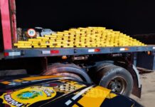 PRF apreende 370 kg de cocaína em duas ações na BR-163 em Campo Grande
