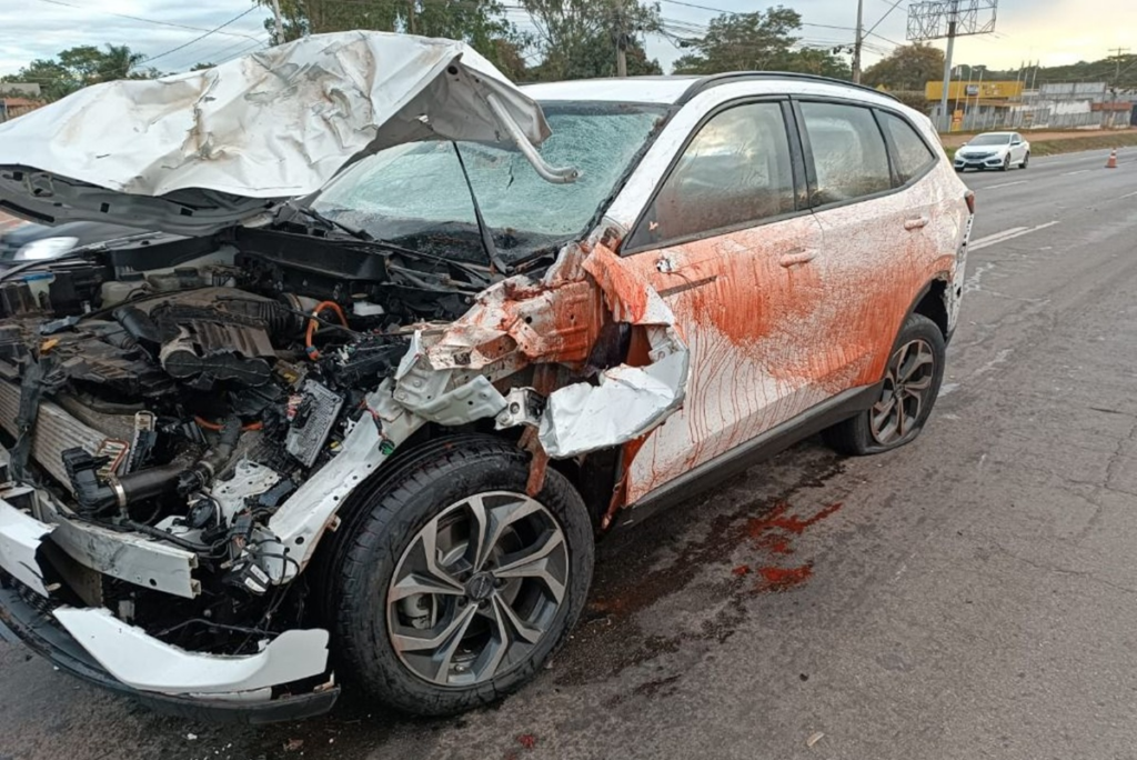 Israel, da dupla com Rodolffo, atropela e mata cavalo na BR-153: “não deu tempo de frear!” Israel, da dupla com Rodolffo, atropela e mata cavalo na BR-153: “não deu tempo de frear!”
