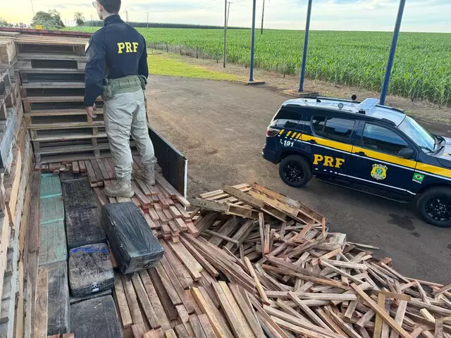 PRF apreende quase 1,2 tonelada de maconha escondida em carreta em MS