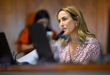No Dia Estadual de Combate ao Feminicídio, Soraya Thronicke reafirma atuação em defesa das mulheres