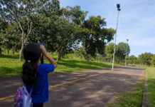 Biodiversidade é tema de aula no Parque do Sóter