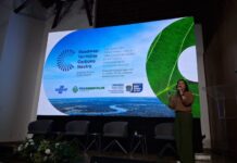 Roadmap alcança 96% dos municípios e fortalece a conexão entre ações locais e oportunidades de financiamento climático