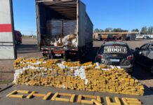 Mais de 1 t. de maconha é apreendida em carreta com carga de cerveja na BR-163
