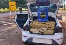 Polícia Rodoviária apreende 703 kg de maconha e recupera carro roubado na MS-162