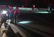 Motociclista morre após queda e motorista perde a vida em colisão com bitrem em MS