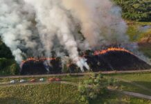 Queima controlada ultrapassa mil hectares e reforça prevenção a incêndios no Pantanal