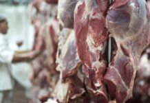 UE oficializa veto e suspende importação de carne brasileira a partir de setembro