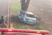 Carro bate em árvore, pega fogo e deixa dois mortos na MS-379