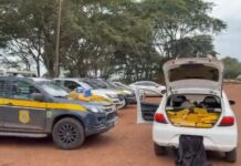 PRF apreende quase 380 kg de maconha na BR-376 em Ivinhema