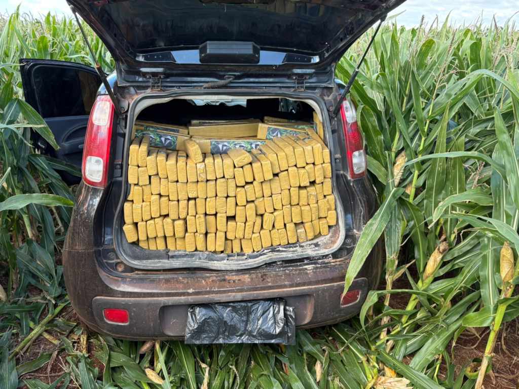 PRF apreende quase 2 toneladas de maconha em Sidrolândia e Maracaju