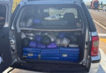 PRF apreende mais de 260 kg de drogas e revólver em Caarapó