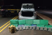PRF apreende quase 290 kg de maconha e recupera caminhonete em Terenos