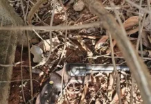 15º feminicídio: homem confessa duplo homicídio em Nioaque alegando ciúmes e descontrole