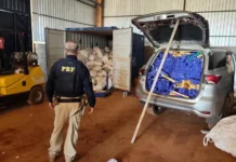 Megaentreposto é fechado em Dourados e 10 toneladas de maconha apreendidas