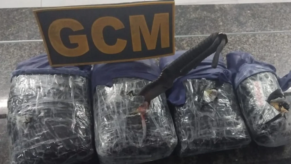 Duas pessoas são presas e mais de 21 kg de maconha são apreendidos na rodoviária Duas pessoas são presas e mais de 21 kg de maconha são apreendidos na rodoviária