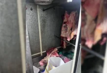 Açougues são flagrados com quase meia tonelada de carne imprópria para consumo
