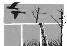 Projeto seleciona autores de Mato Grosso do Sul para criação e publicação de histórias em quadrinhos
