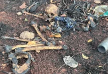 Ossada é encontrada em área de mato queimado no bairro Zé Pereira