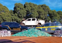 Caminhonete com quase 274 kg de drogas capota em fuga da PRF na BR-419