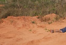 Dois homens são encontrados mortos na área rural da Capital