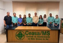 Conselho Fiscal da CEASA/MS aprova balanço do 2º trimestre de 2026