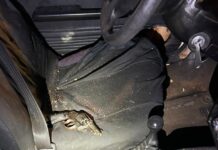 Ladrão morre após tentar furtar carro de casal de policiais em Campo Grande