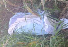 Homem é encontrado morto com mãos amarradas e tiro na cabeça em Ponta Porã