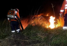 Incêndio no Pantanal cruza fronteira e mobiliza força-tarefa entre Brasil e Bolívia