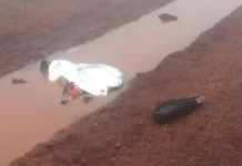 Motociclista morre ao cair em poça d’água de canteiro central na BR-463