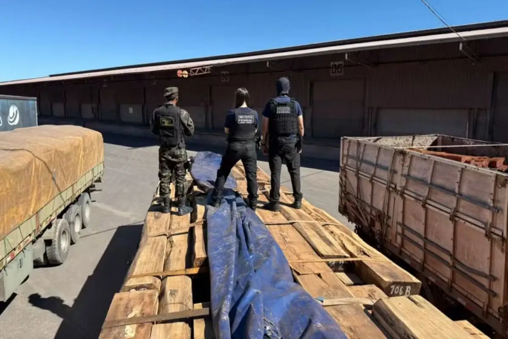 Laudos da PF descartam cocaína em 260 toneladas de madeira apreendidas em Corumbá Laudos da PF descartam cocaína em 260 toneladas de madeira apreendidas em Corumbá