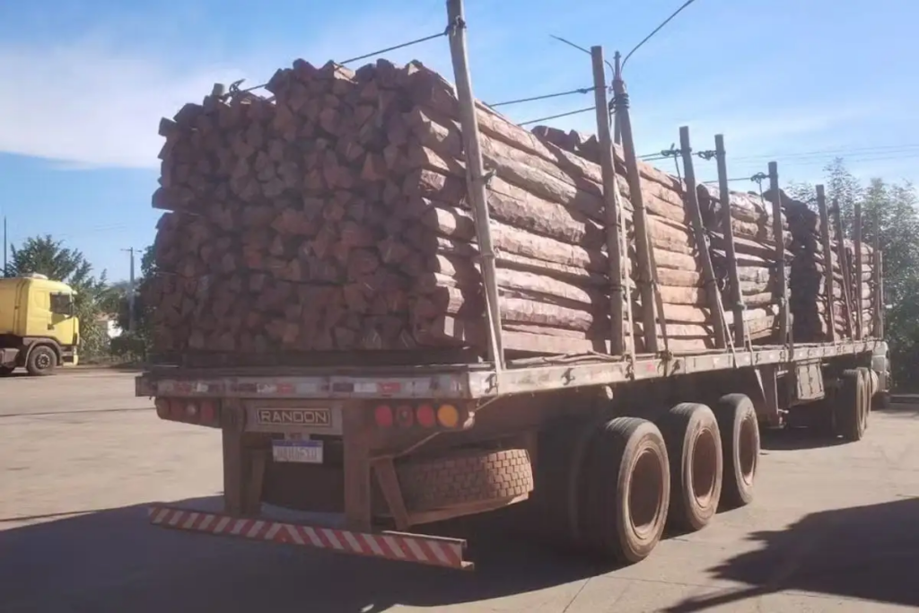 Laudos da PF descartam cocaína em 260 toneladas de madeira apreendidas em Corumbá Laudos da PF descartam cocaína em 260 toneladas de madeira apreendidas em Corumbá