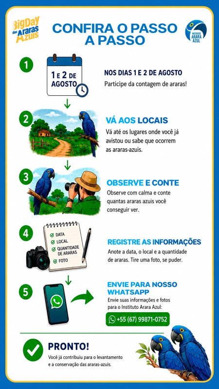 Veja como participar da contagem nacional das araras‑azuis, que ocorre nos dias 1º e 2 de agosto