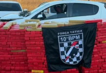 Polícia apreende carro com mais de 1 tonelada de maconha após bater em árvore