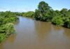 Estudo aponta Dourados como destino promissor para o turismo de pesca esportiva