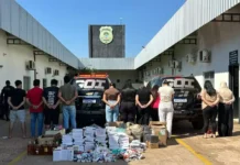 Operação desmonta rede que vendia medicamentos irregulares online na Capital