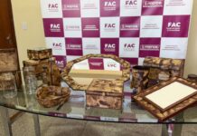 Todos em Ação: Oficina gratuita transforma filtro de café em artesanato