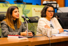 Gleice Jane manifesta apoio a Camila Jara e alerta para violência política de gênero após episódio na FIEMS