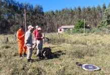 Desaparecido, homem é encontrado morto em área de eucaliptos de Três Lagoas