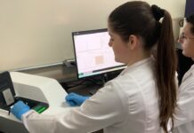 Nanotecnologia inspirada no Cerrado pode ampliar combate à mastite bovina