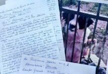 Idoso entrega carta a jornal de TV pedindo para encontrar um novo lar para cachorro