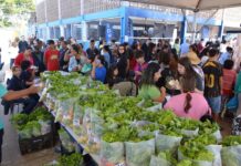 Mutirão Todos em Ação chega ao Oliveira II