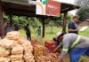 Dourados faz chamamento público para o 1º PAA Indígena Municipal do Brasil