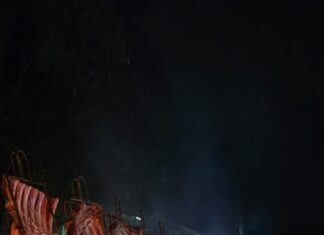 Category Template 1