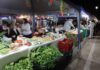 Com entrada de pets autorizada, Feira dos Ipês reúne gastronomia, artesanato e lazer em Dourados