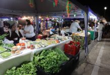 Com entrada de pets autorizada, Feira dos Ipês reúne gastronomia, artesanato e lazer em Dourados