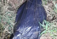 Desaparecido há quatro dias, homem é encontrado morto enrolado em lona no Paraguai