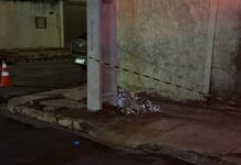Pedestre morre atropelado em Campo Grande e motorista recusa teste do bafômetro