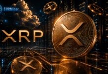 XRP cai quase 71% do pico e investidores buscam alternativas para movimentar capital em criptomoedas