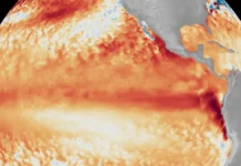 El Niño deve ganhar força e pode pressionar alimentos, energia e inflação no Brasil